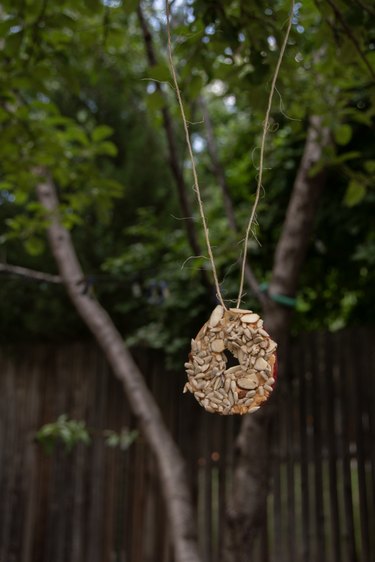apple treat for birds